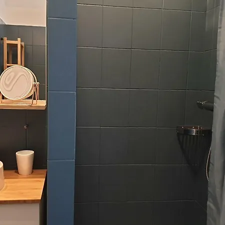 1 Bdr Flat Near Croisette And Martinez *